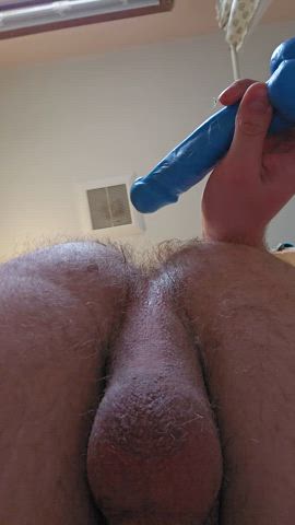 anal ass balls dildo gape gay hairy ass solo clip