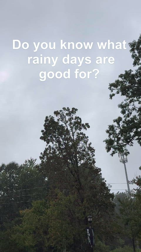 Do you know what rainy days are good for?……wait for it!