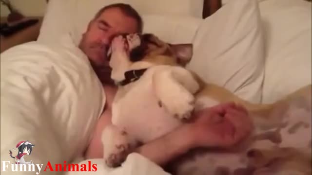 Dogs Sleeping with Owners 07