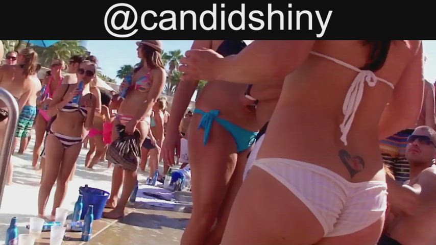 bikini party pool swimming pool clip