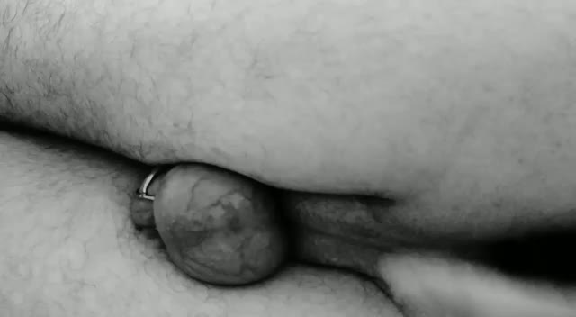 Cum for anal in chastity ??