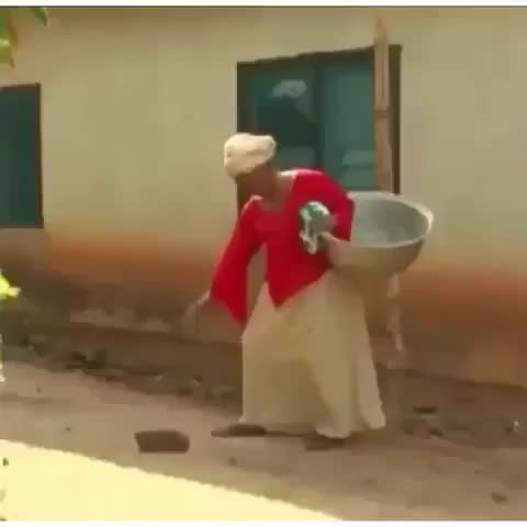  clip