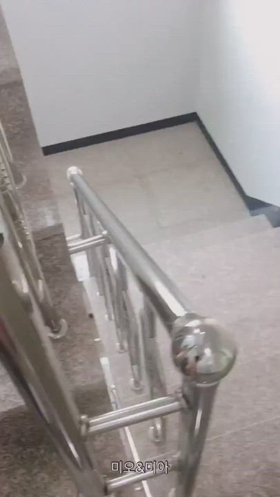 amateur quickie in a stairwell