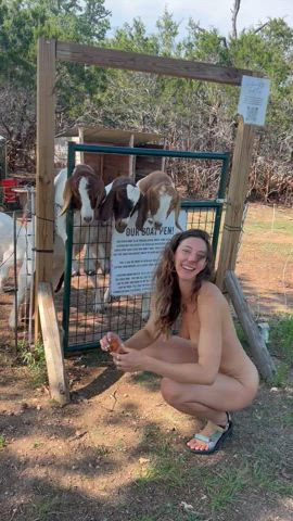 Giving these silly goats a treat
