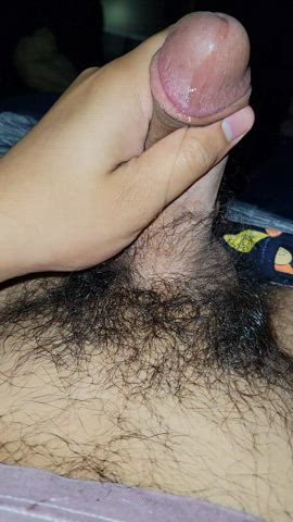 cock hairy cock jerk off clip