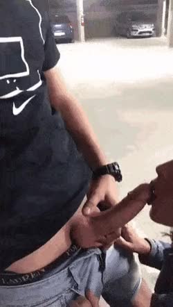  clip