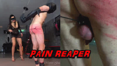 Mistress Pain Whipping clip