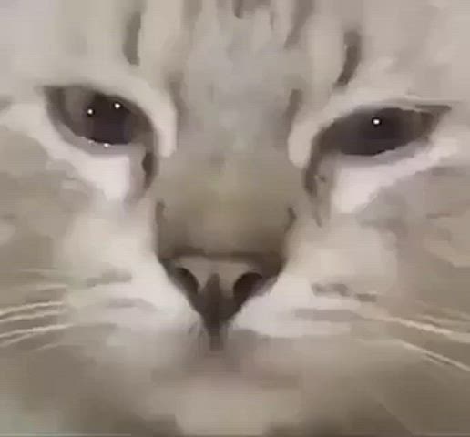 Catsuit Sex Solo clip