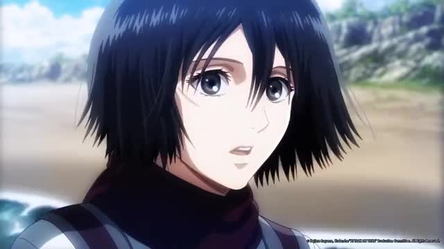Mikasa a cute