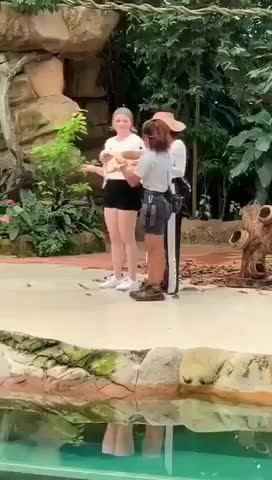  clip