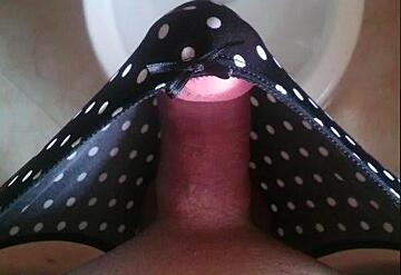 What about a sissy small cock?