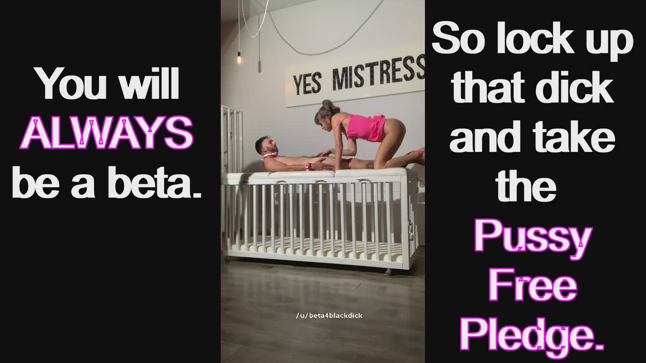 Chastity + The pussy free pledge = Your future.
