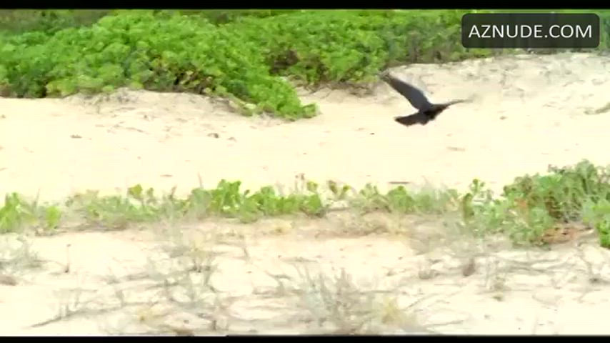 beach cinema topless clip