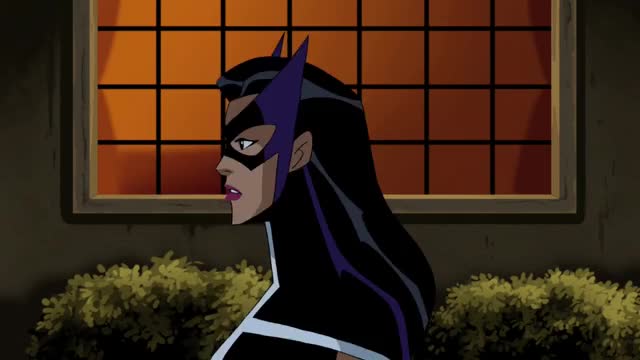 The Huntress - All Fight Scenes | Justice League Unlimited