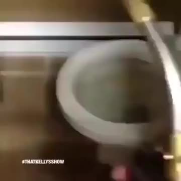 WCGW if you put a firecracker in the toilet