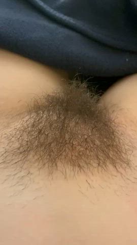 hairy hairy pussy onlyfans pubic hair clip