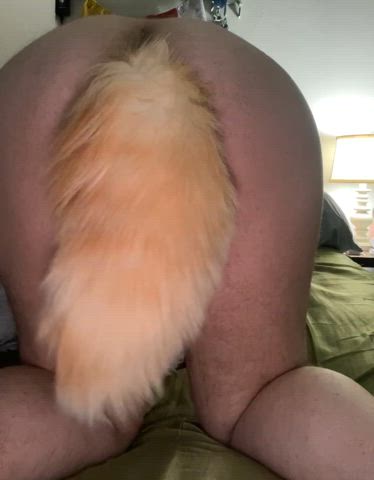 Just got a new tail plug hehe! Puppy’s needy 🤭