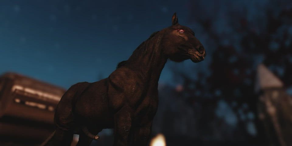 Serana ❤️❤️❤️❤️'s Her Horse