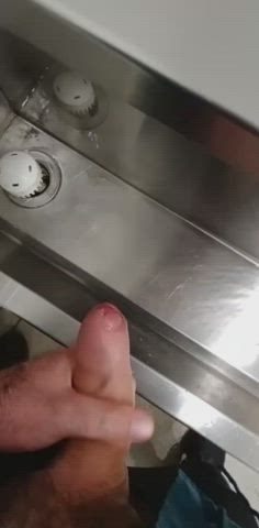 gay glasses toilet clip