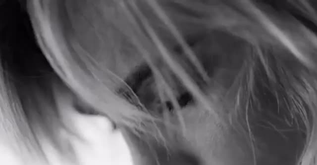  clip