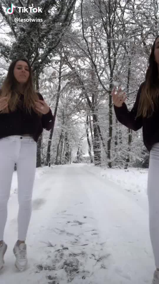 Do you like Snow? #dance #trend #foryou #fürdich #winter #snow #twins #deutschland