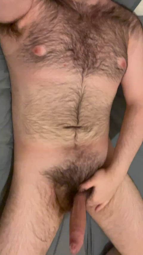 bear gay hairy clip