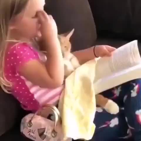 Cats enjoy bedtime stories too