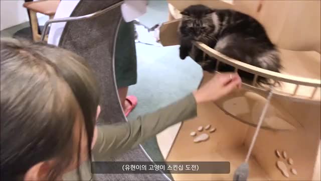 Wholesome Yoohyeon with a cat