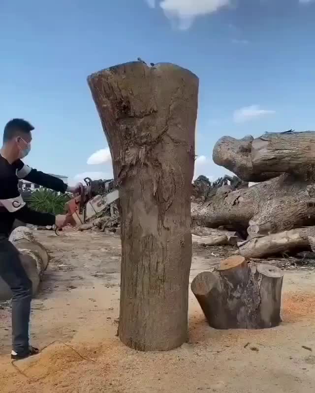 [Watch the whole video] Highly impressive wood sculpture! Credit 东浩木雕经营部