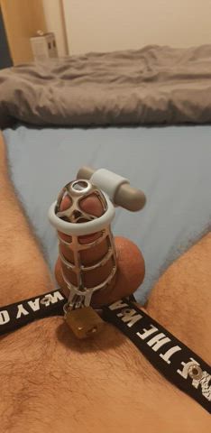 3 weeks caged cum