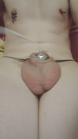 balls pain whipping clip