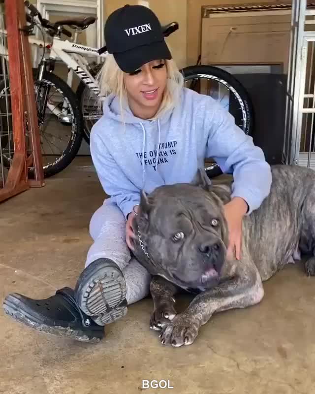 big ass dog