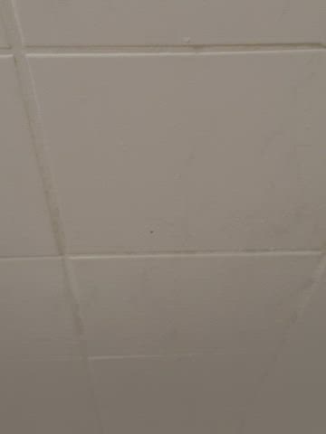 Pee Piss Shower clip