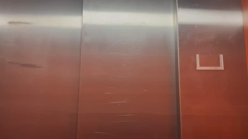 Elevators always make so horny