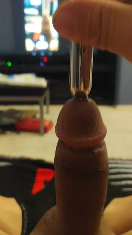 Sounding Sex Toy Male Masturbation Masturbating Kinky Porn GIF by itsmeletshavefun