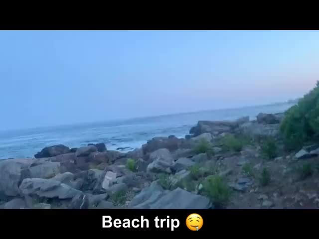 Beach Sex Thick clip