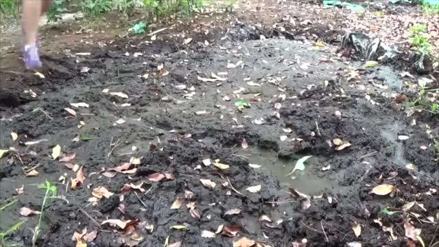 Girl Jumps in The Mud