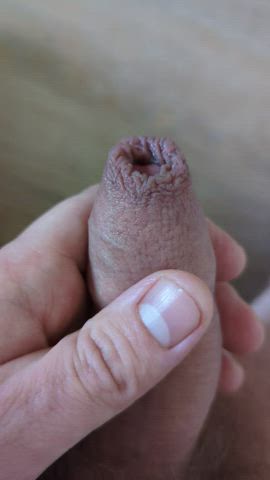 amateur foreskin penis clip