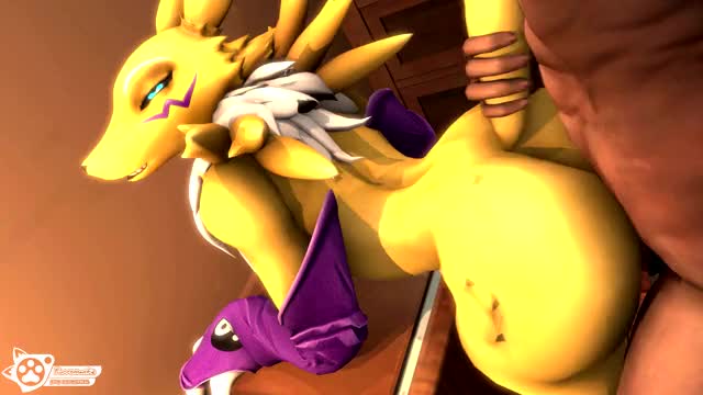 3367693 - Digimon Renamon Source Filmmaker animated furromantic webm