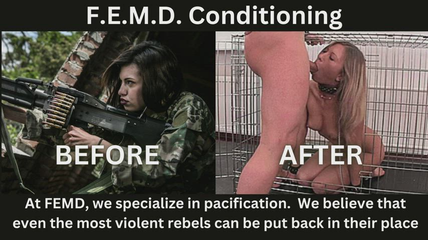 FEMD: Rebels come in, Actionable Intelligence and Marketable Pets come out!