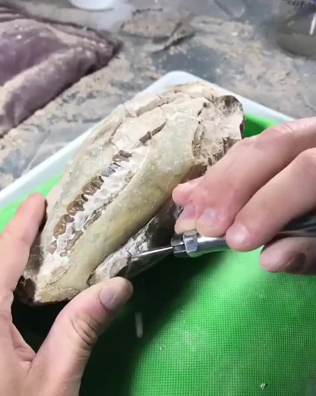  clip