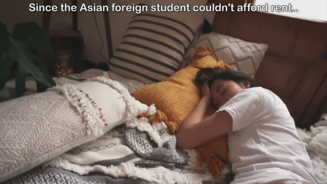 Breed the Asian Foreign Exchange student!