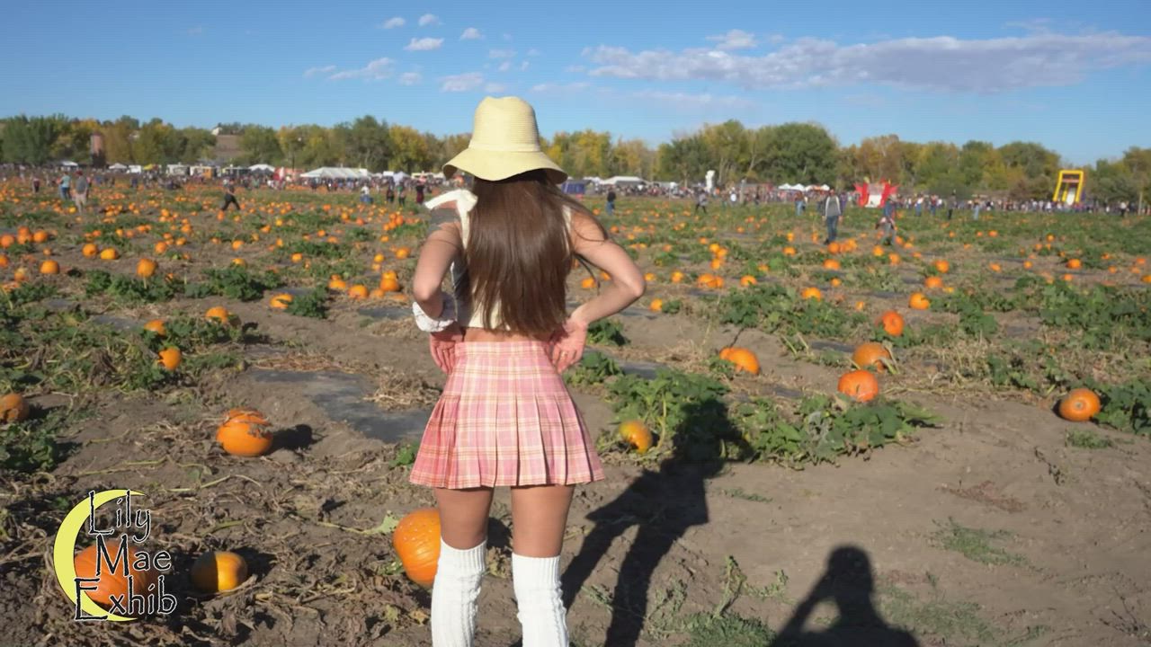 Wind caught me by surprise at the pumpkin patch!