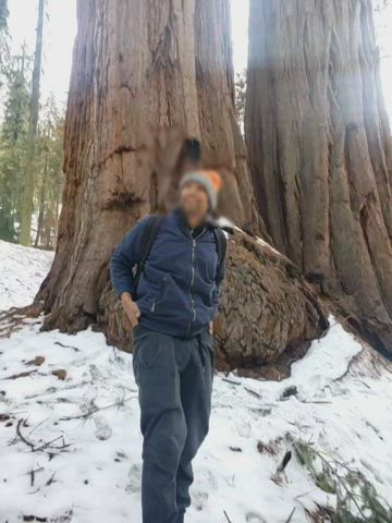 [M] Cold adventures in the sequoias.