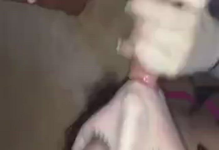 Cum Cumshot Facial clip