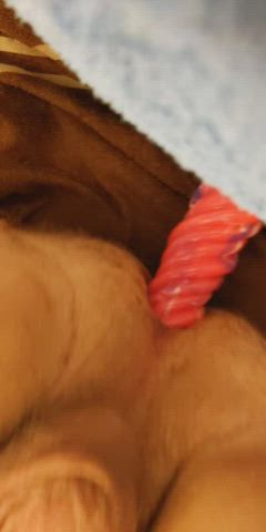 anal dildo solo clip