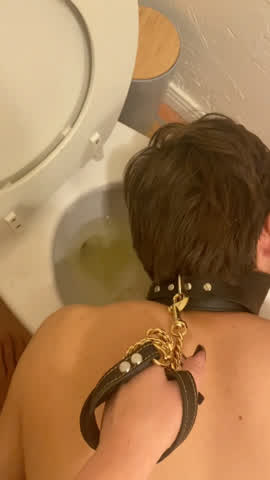 Femdom Humiliation Leash PetPlay Sissy Slave Toilet clip