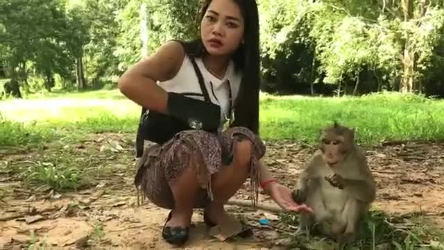Monkey meeting tourist and Crazy monkey play game with girl