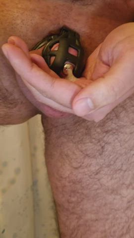 chastity cum precum clip