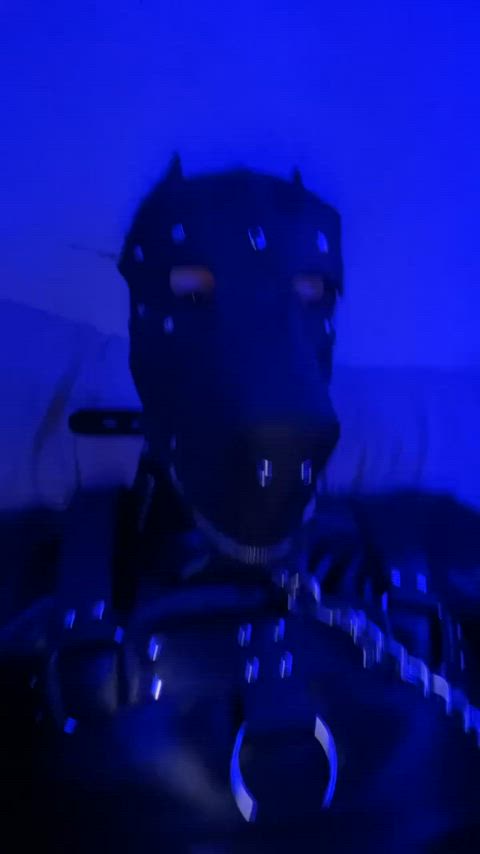 gay male masturbation puppy clip